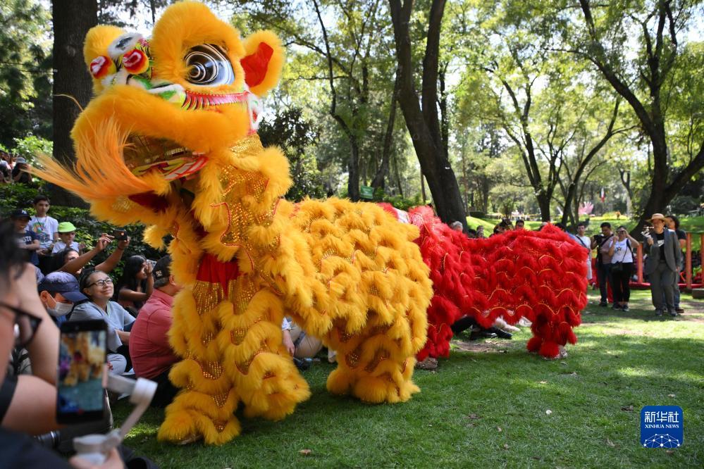 葡萄京app